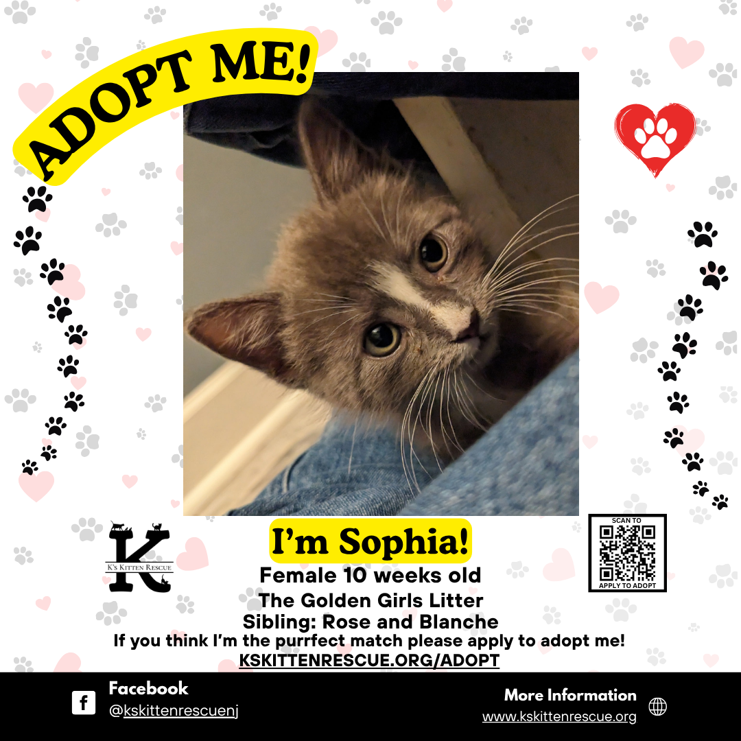 Sophia