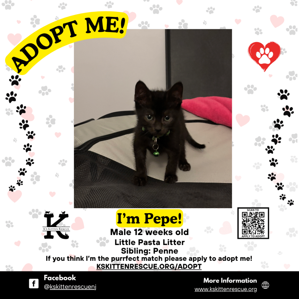 Pepe Pepe Adopt Me Social Media Listing 1024x1024