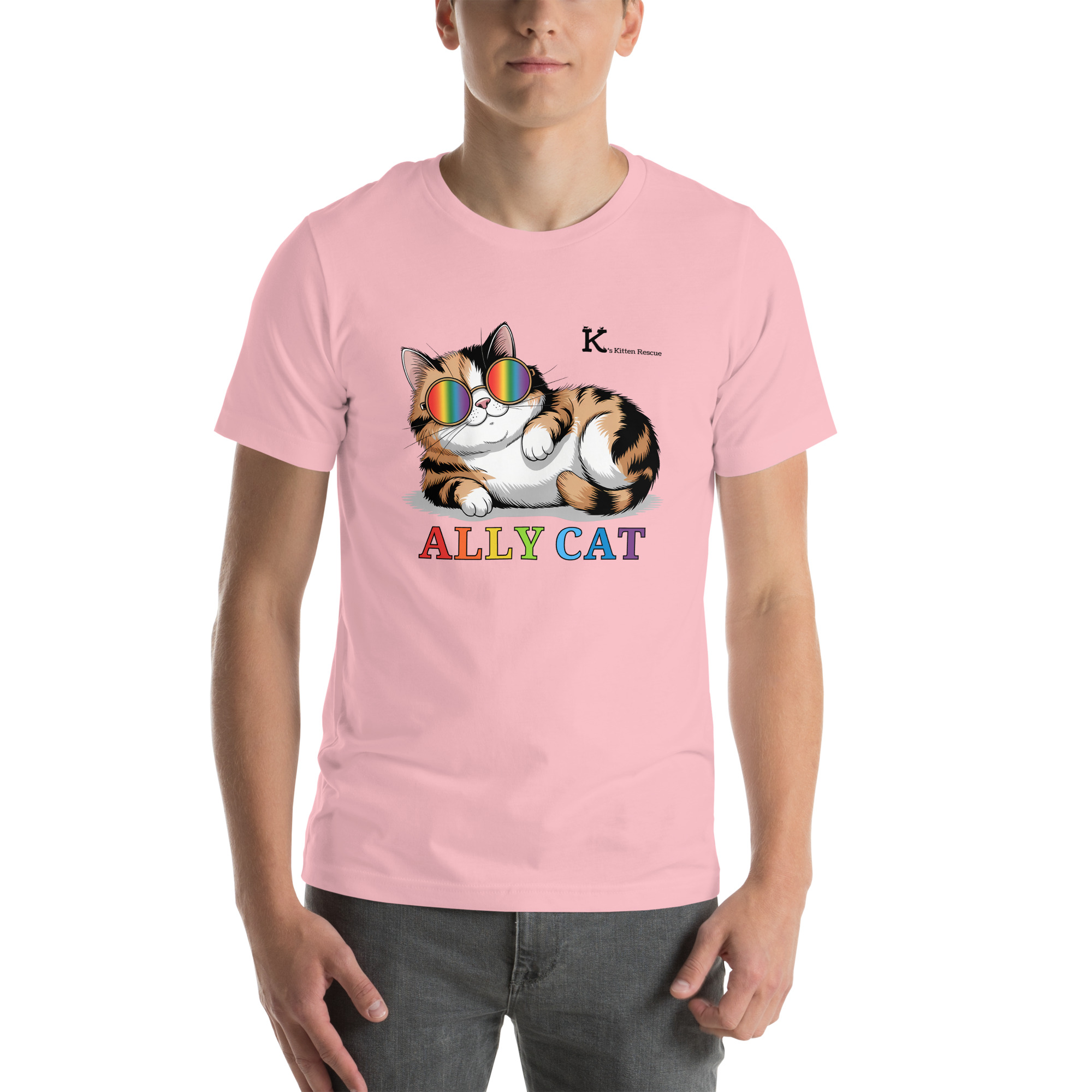 unisex-staple-t-shirt-pink-front-687fa8460c854-1.jpg Ally Cat Unisex t-shirt - Image 6