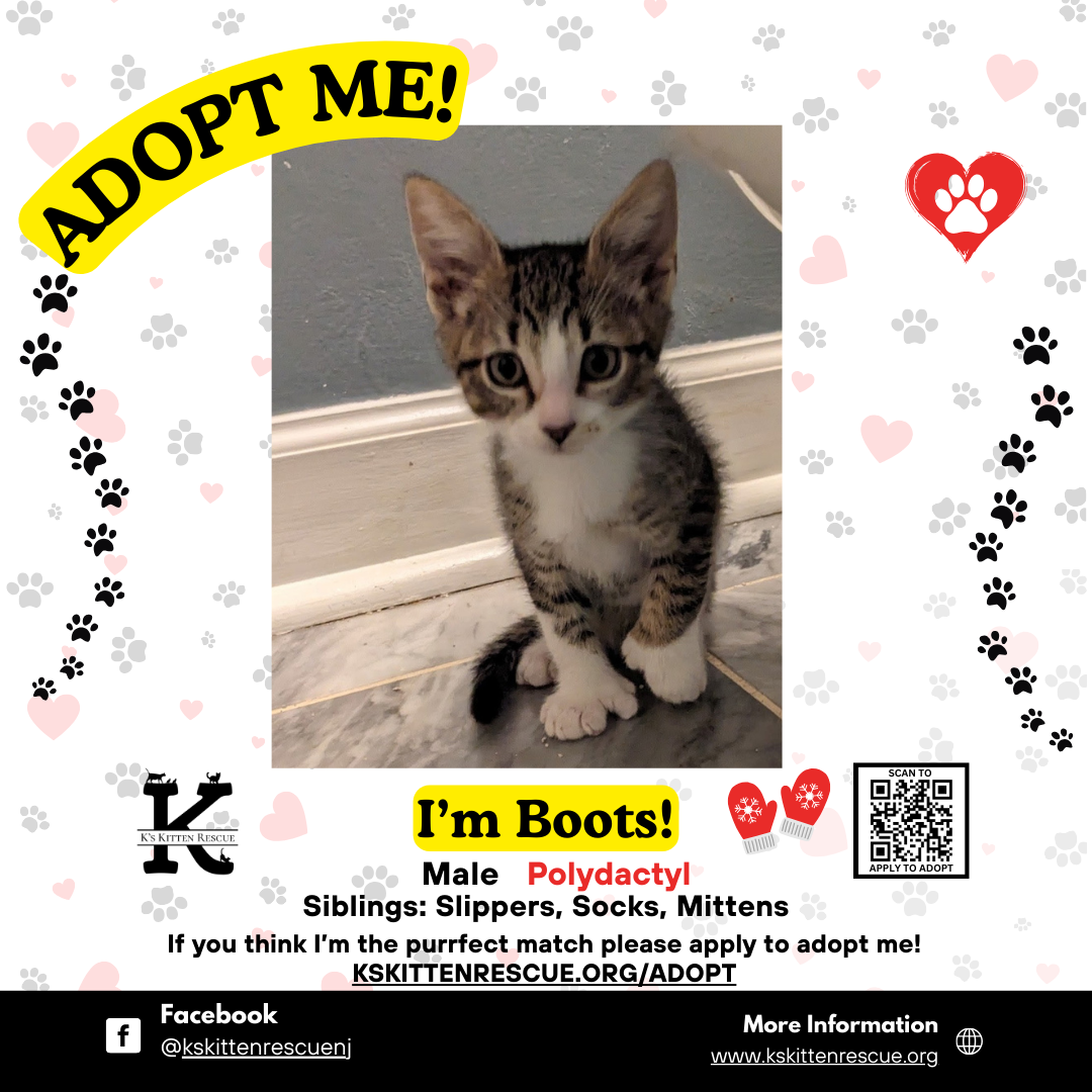 adopt me social media listing boots