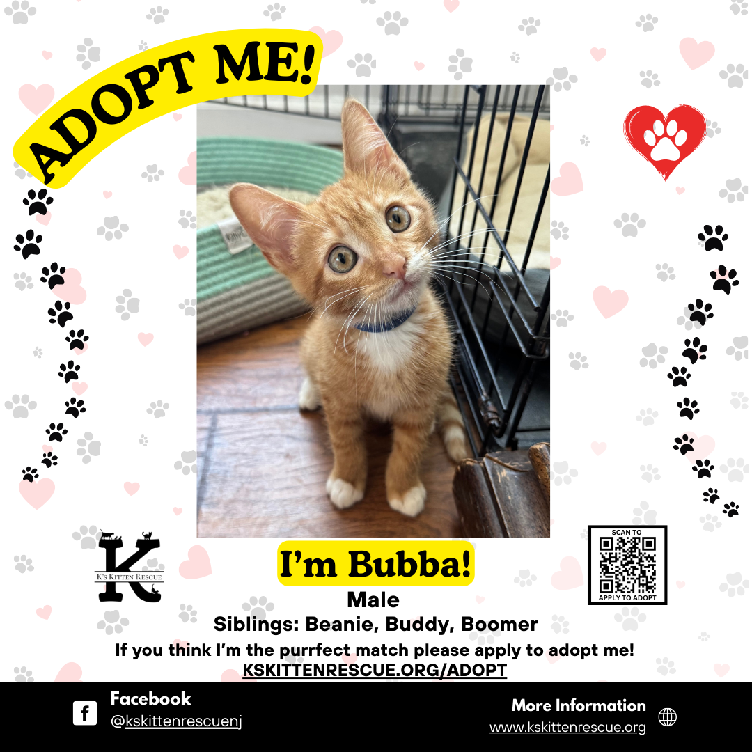 adopt me social media listing bubba
