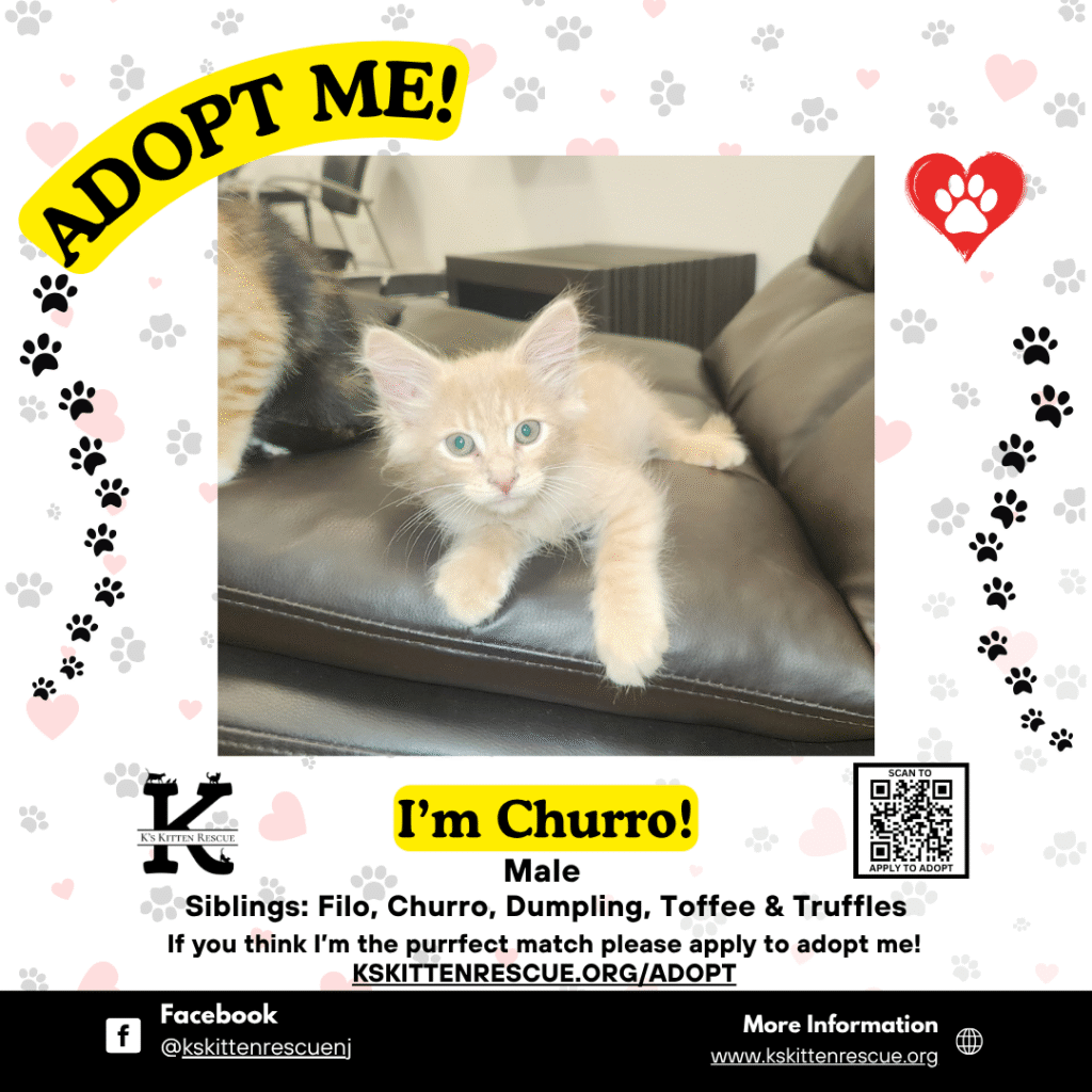 adopt me social media listing churro