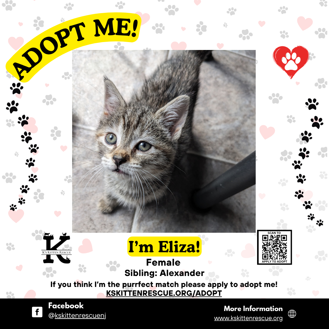 adopt me social media listing eliza