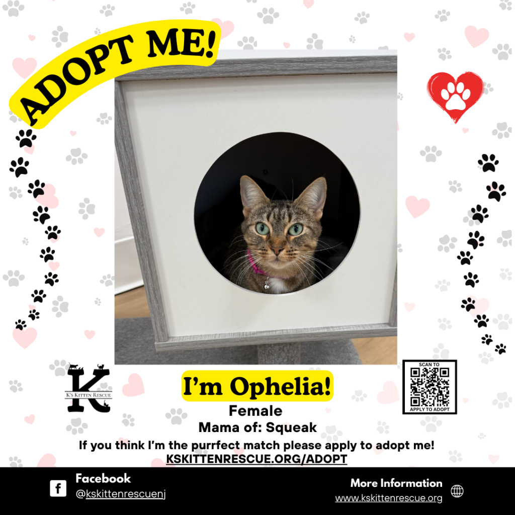 Ophelia adopt me social media listing ophelia