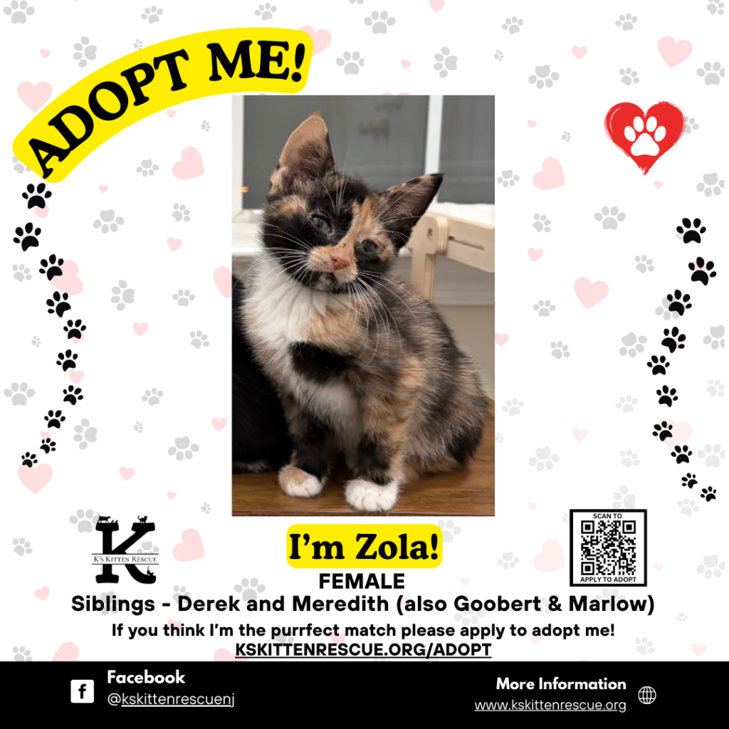 Zola zola