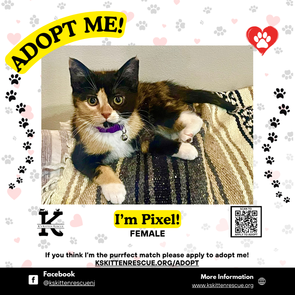adopt me social media listing pixel