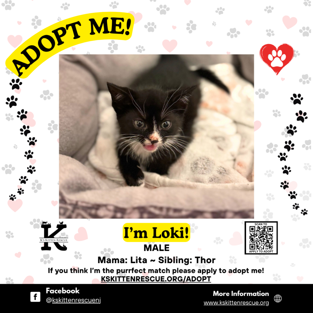loki