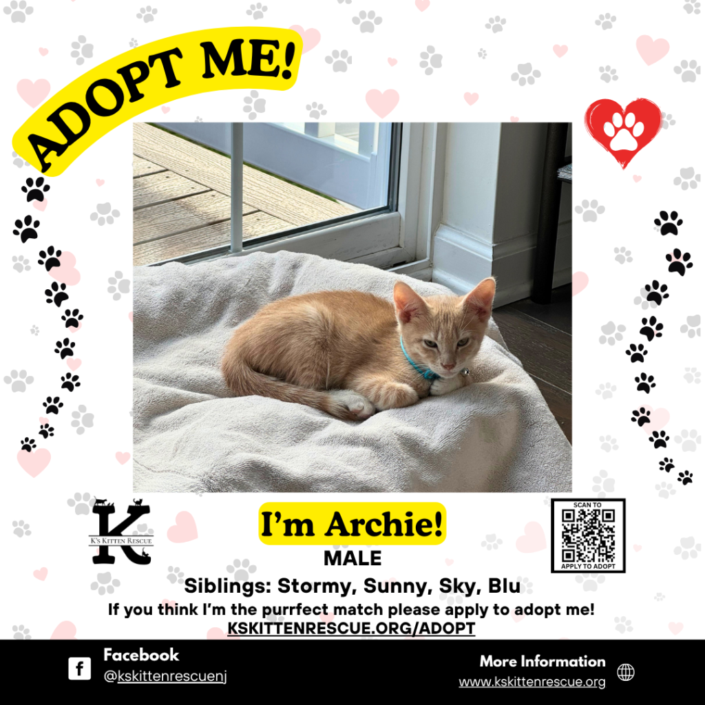 archie