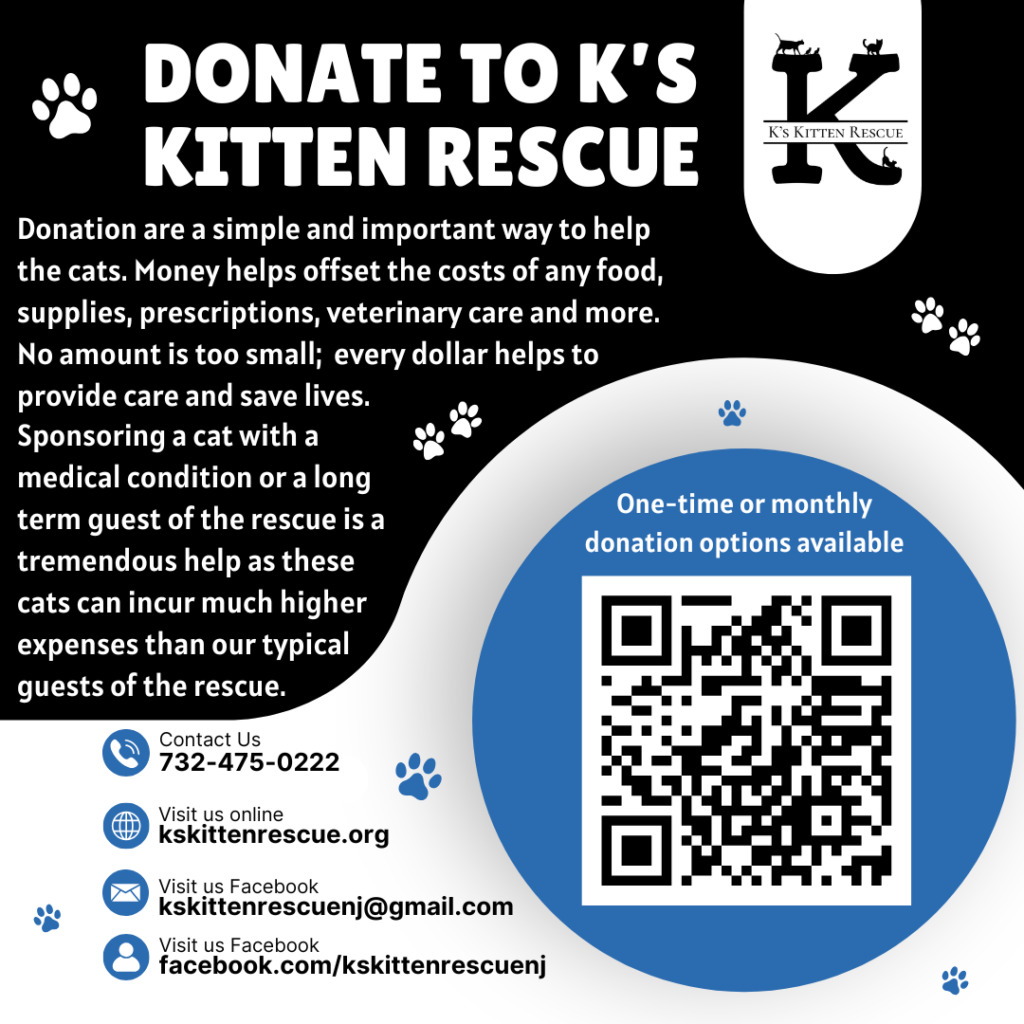 donations page qr code sq