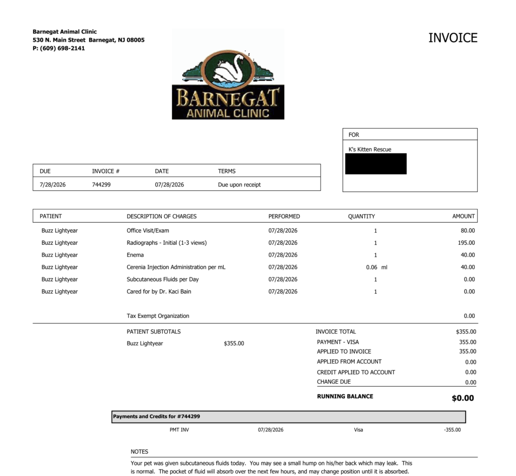 buzz invoice