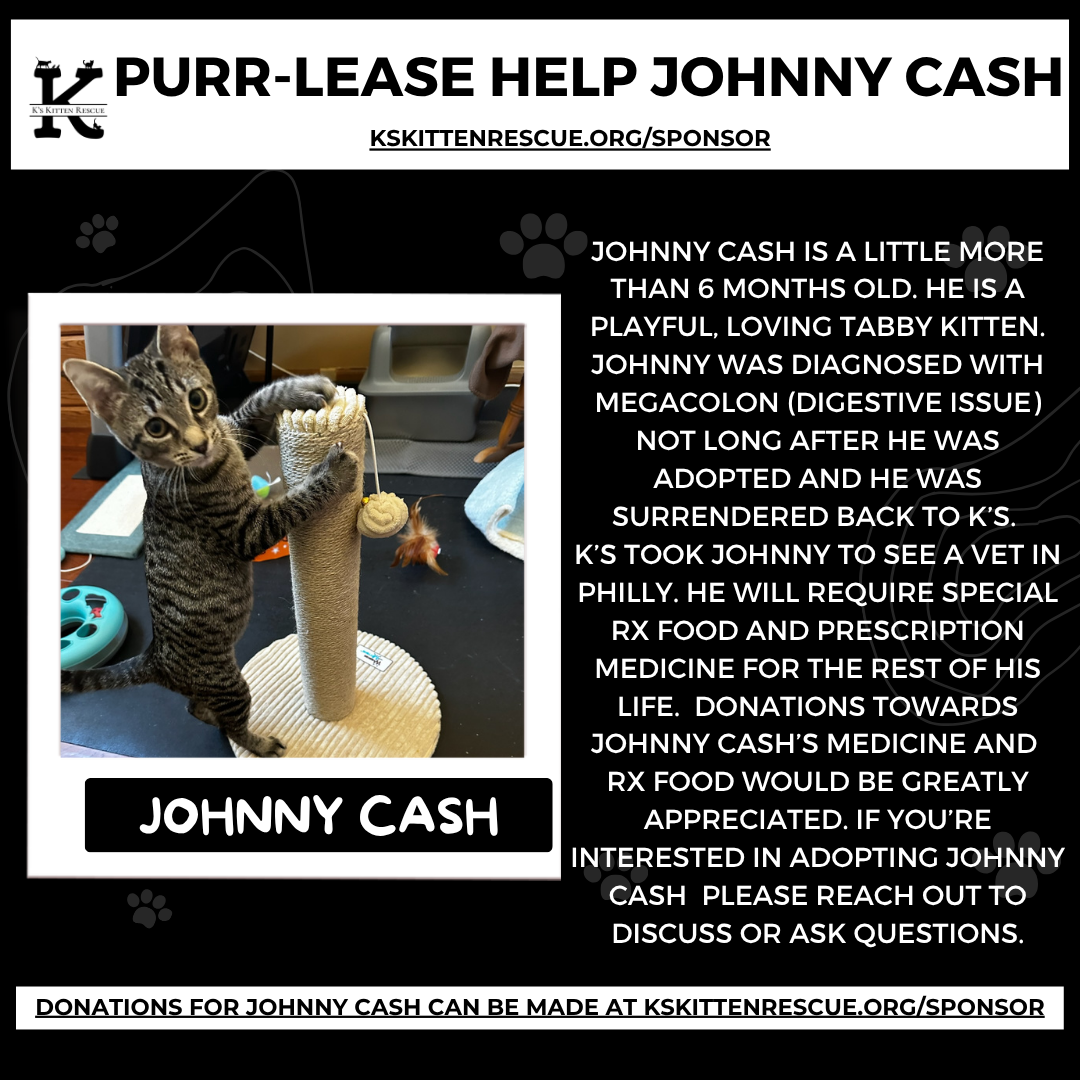 johnny cash sponsor sq