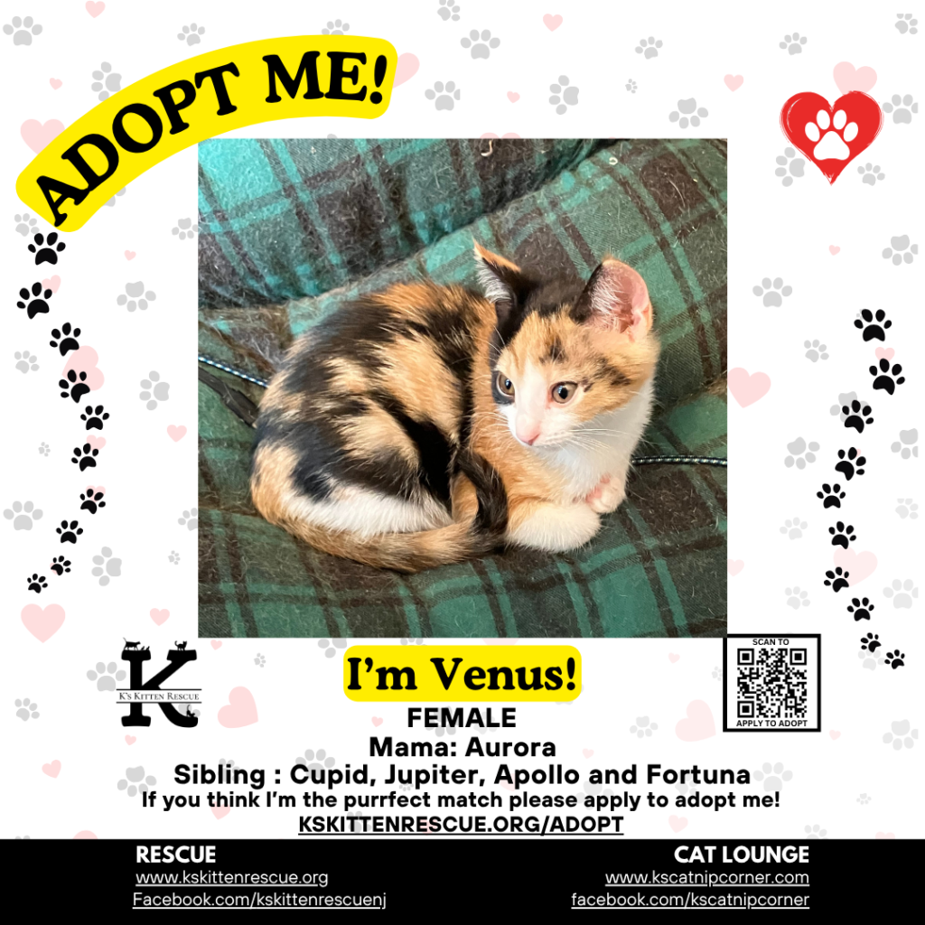 venus