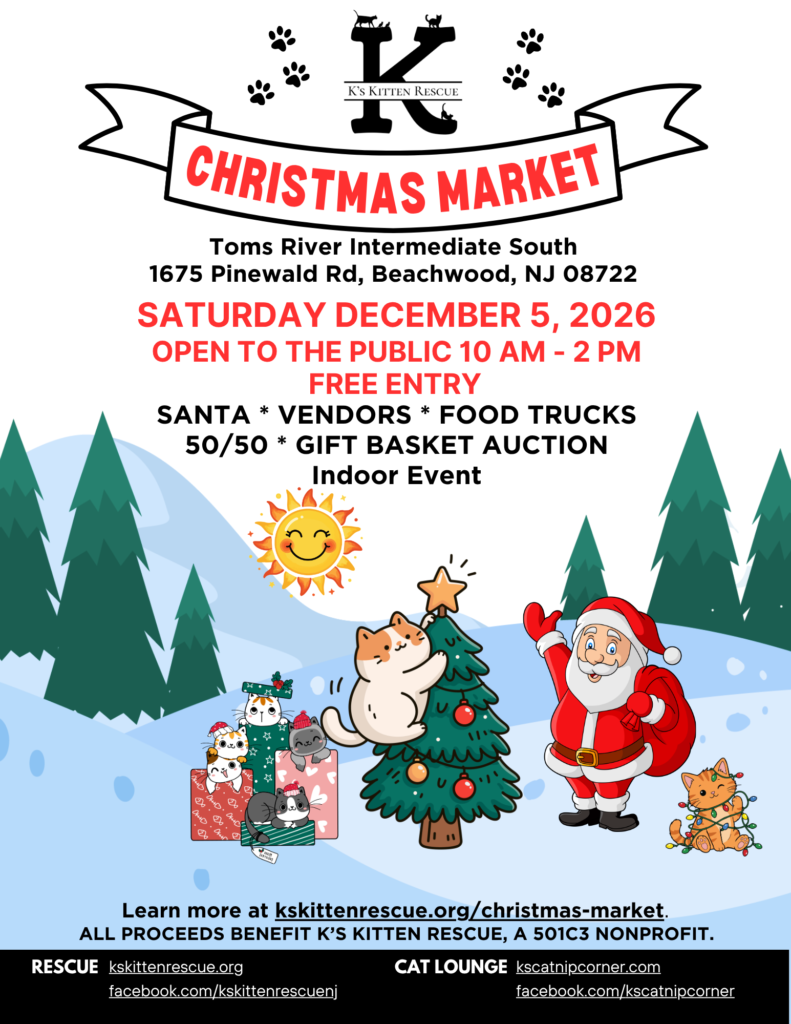 Christmas Market 120526 christmas market poster