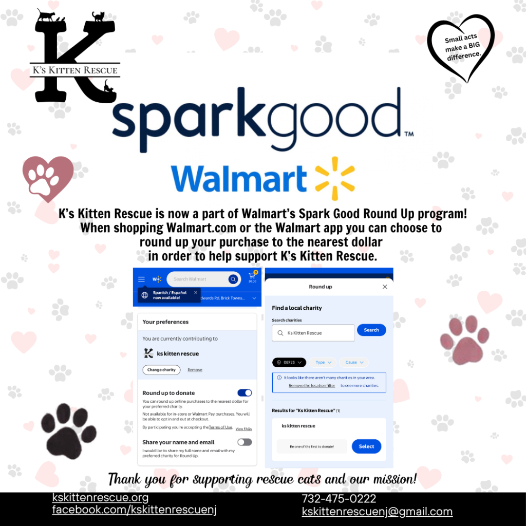 walmart spark good